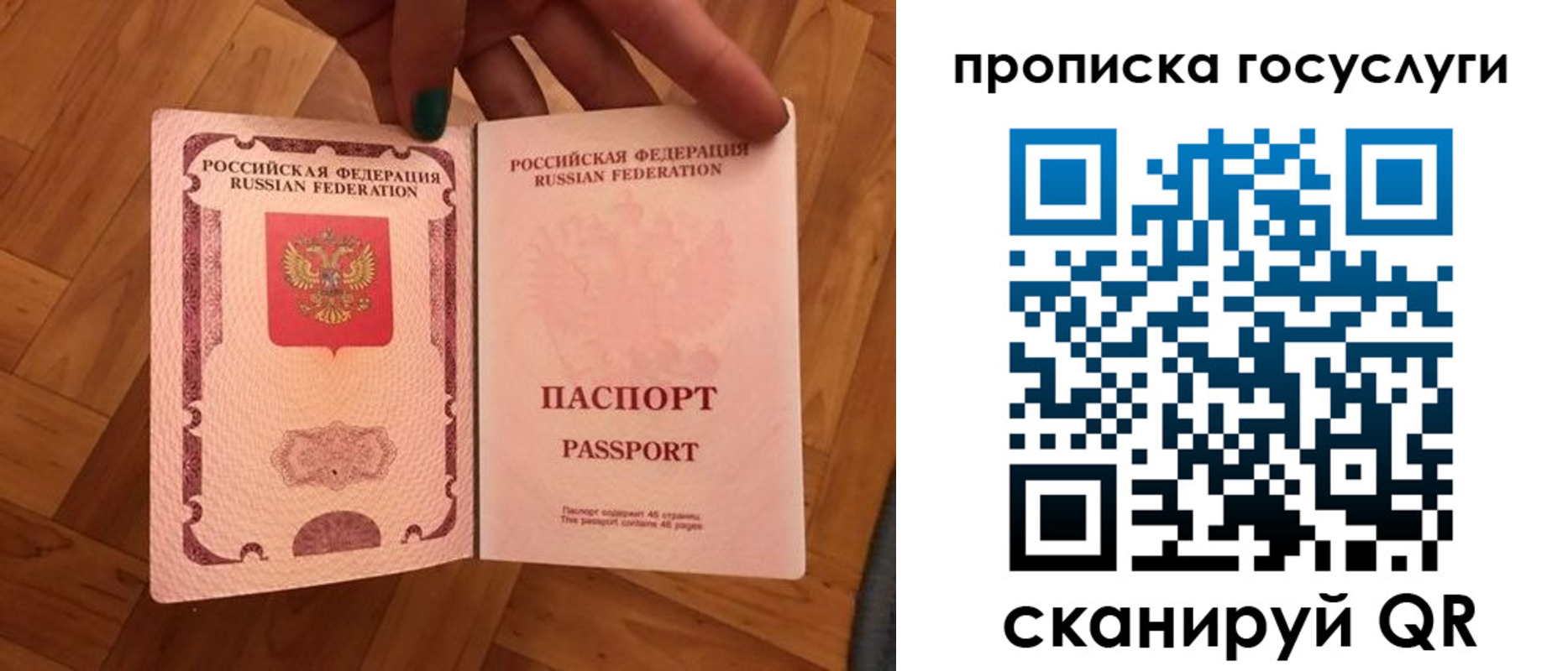 прописка в Тимашёвске